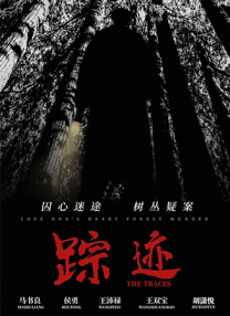国产v片